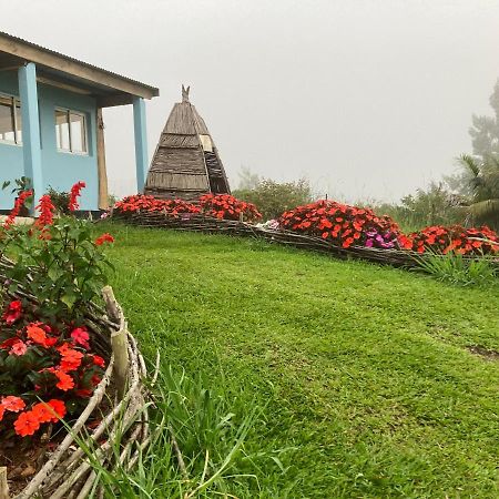 Bed and Breakfast Au Coeur De La Cascade Biberon La Plaine-des-Palmistes Zewnętrze zdjęcie