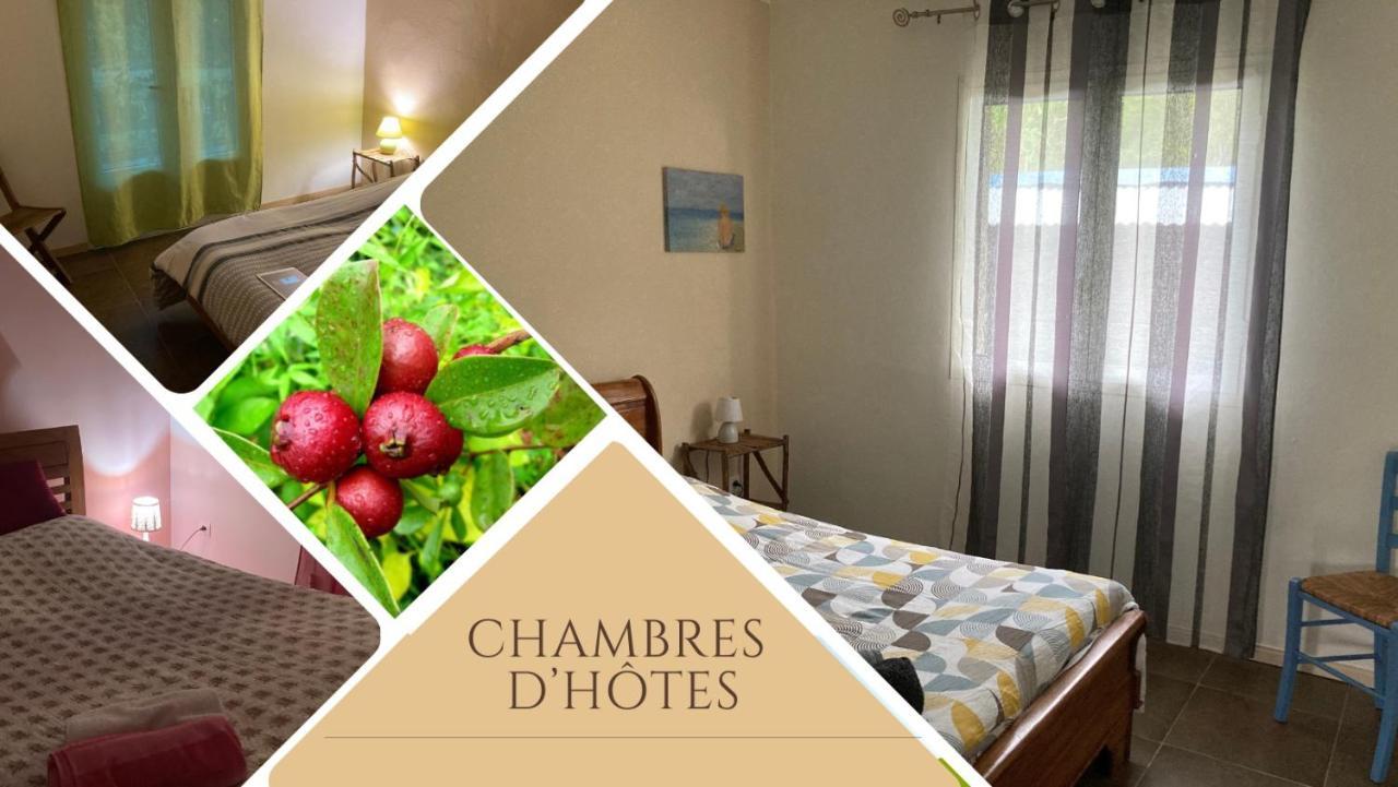 Bed and Breakfast Au Coeur De La Cascade Biberon La Plaine-des-Palmistes Zewnętrze zdjęcie